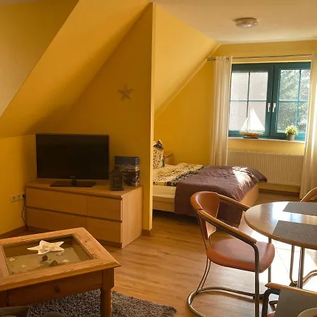 Austernfischer 600 Meter Vom * Prerow