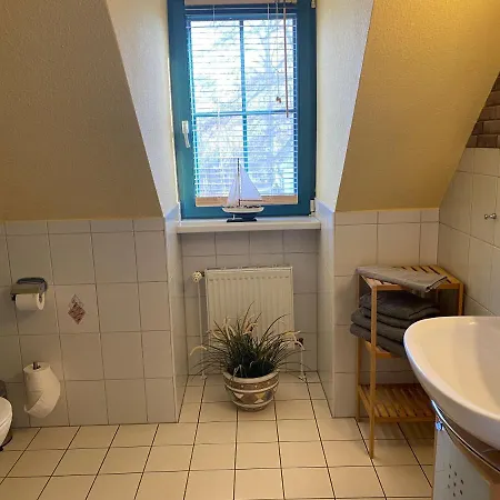 Austernfischer 600 Meter Vom Apartment