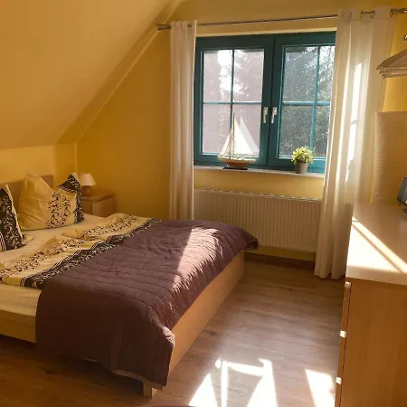 Austernfischer 600 Meter Vom Apartment *