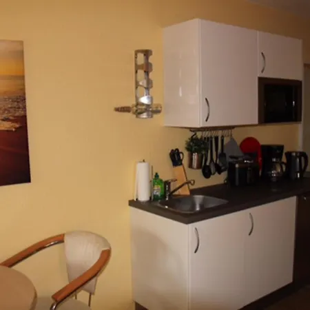 Austernfischer 600 Meter Vom Prerow