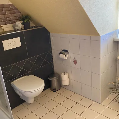 Austernfischer 600 Meter Vom Apartment Prerow